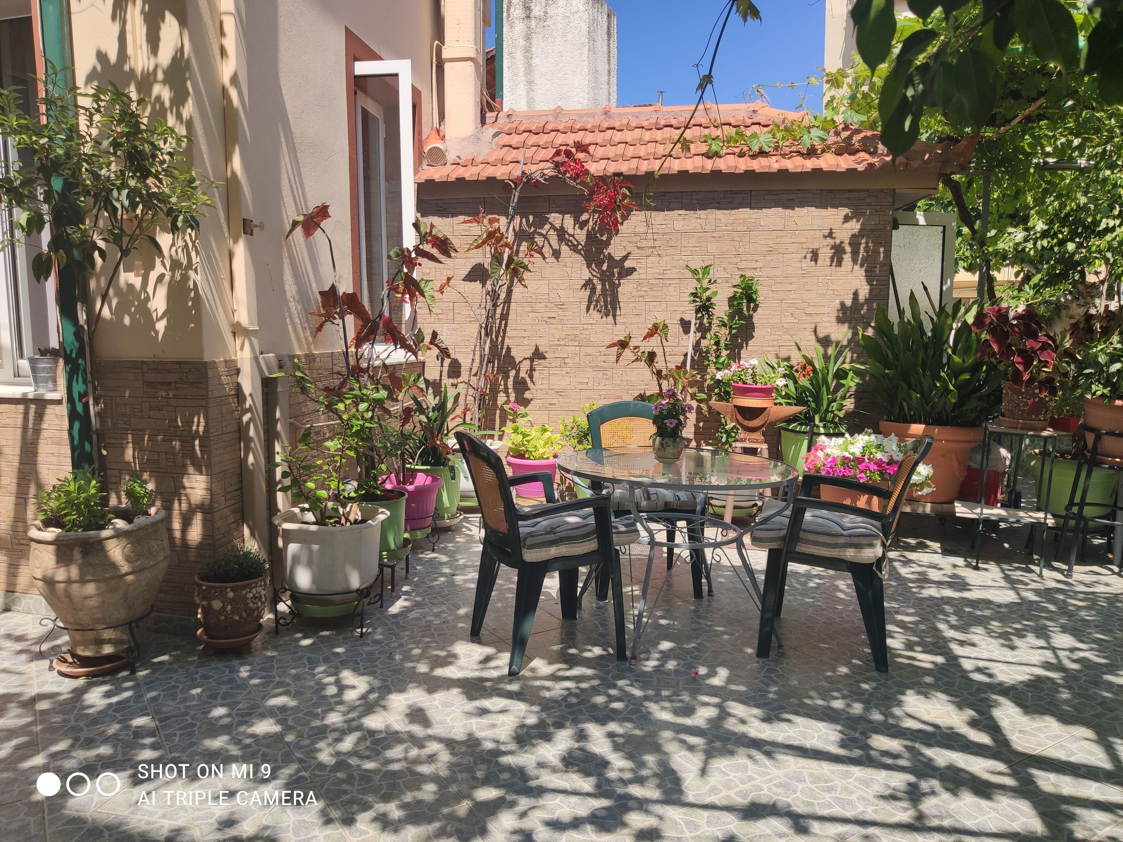 basic room | terrace/patio