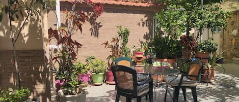 Basic Room | Terrace/patio