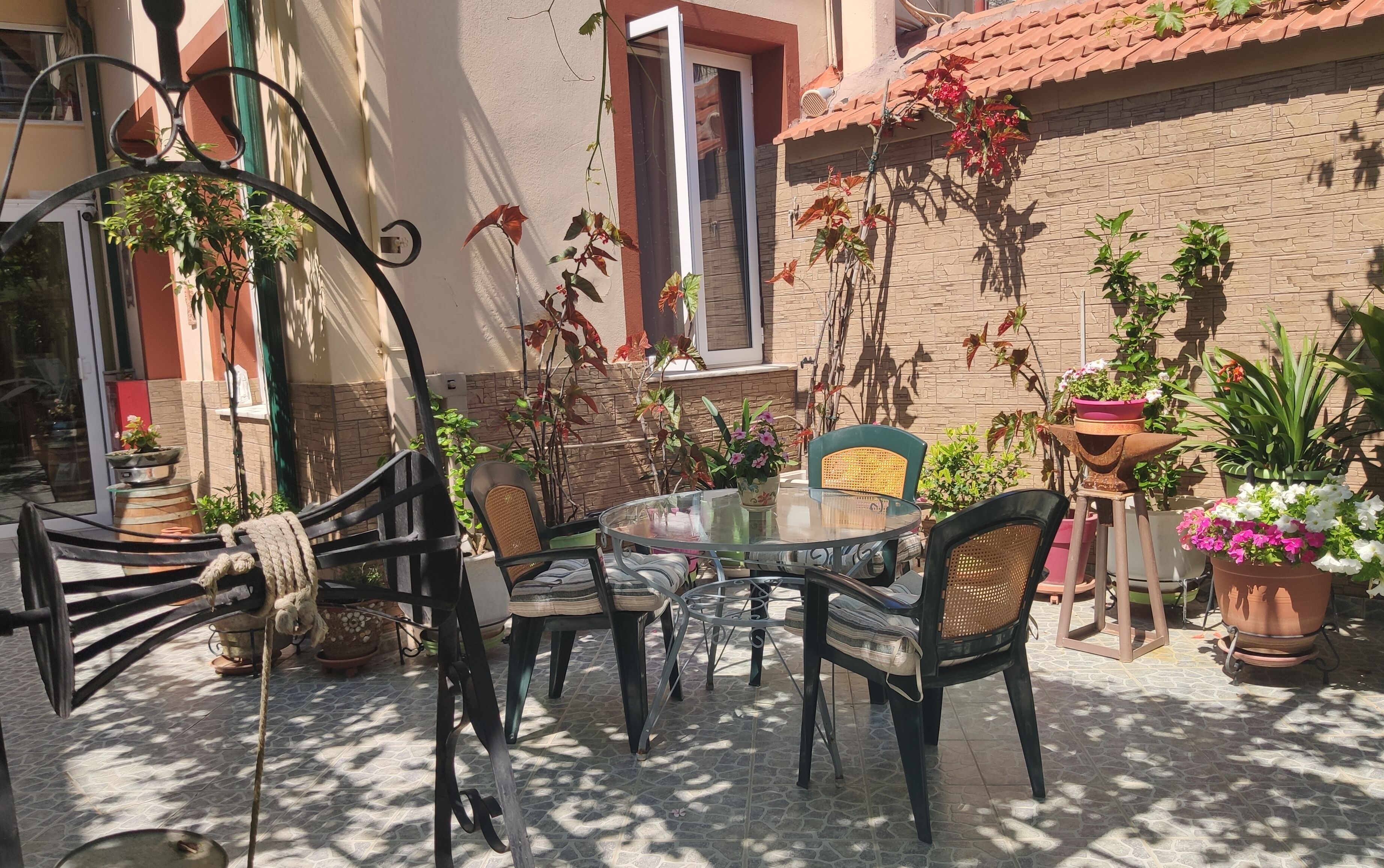 basic room | terrace/patio