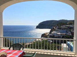 全景公寓, 1 间卧室 | 露台