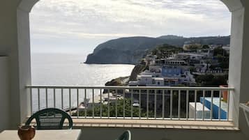 Panoramic Apartment, 1 Bedroom | View from room