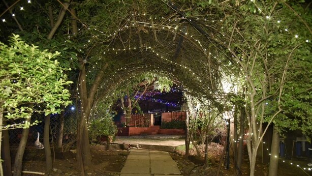 Un sentier extérieur avec un chemin pavé de pierres menant à une zone abritée, entourée d’arbres et illuminée par des guirlandes lumineuses.