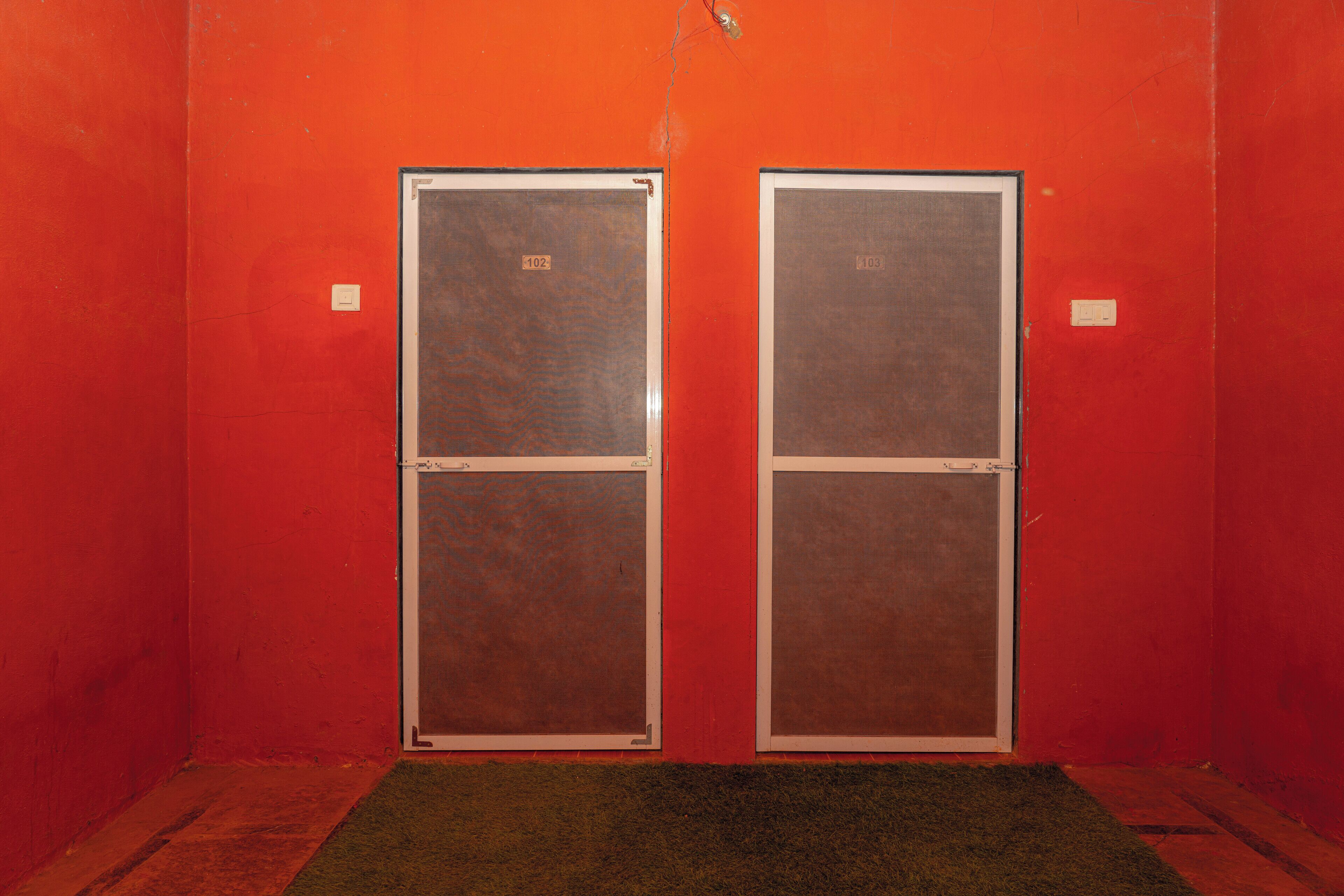 A room with two doors, a red wall, and a green carpet.