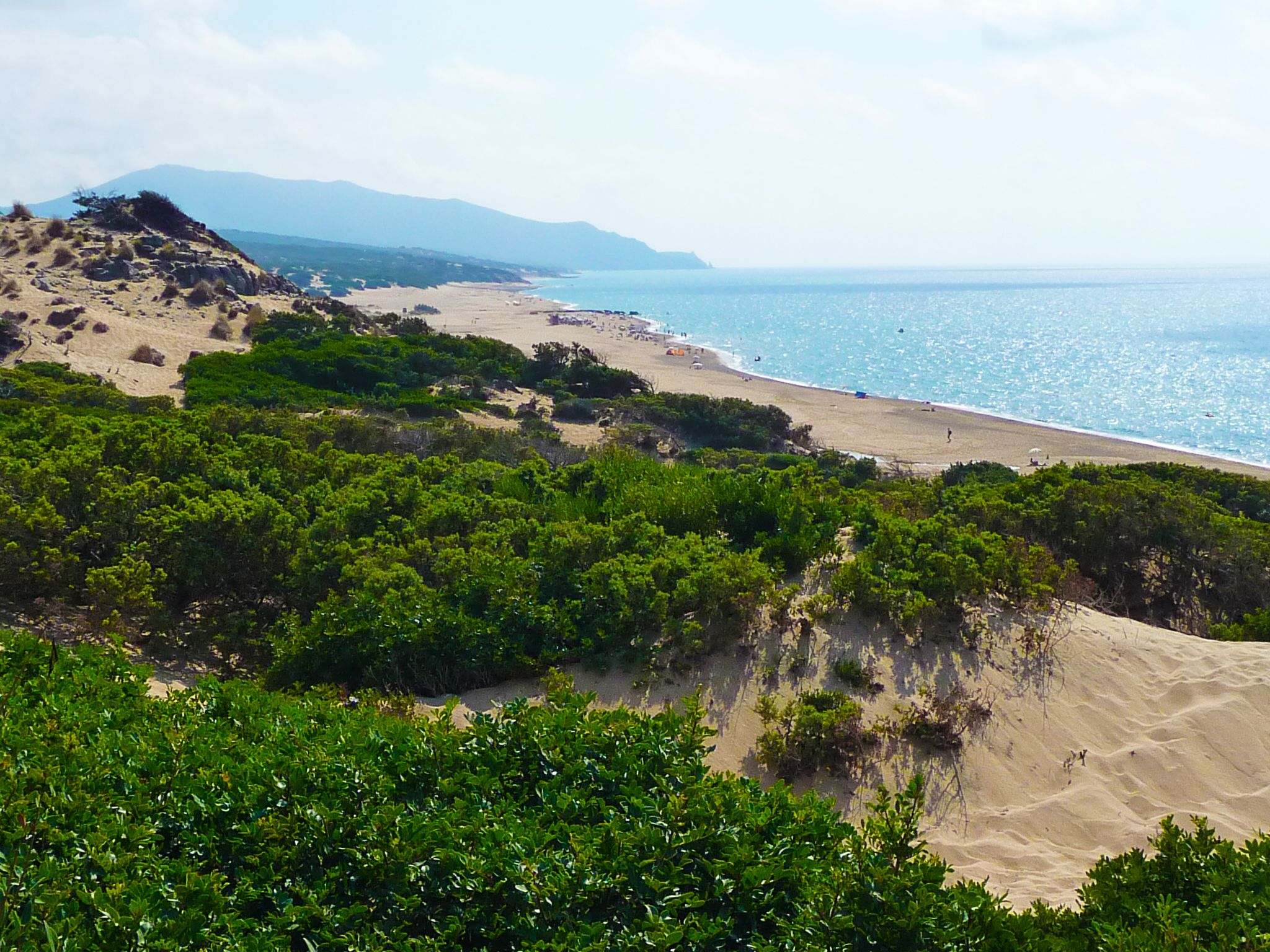 Eine Küstenlandschaft mit einem Sandstrand, grüner Vegetation und freiem Blick auf den Ozean.