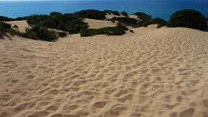 Una playa arenosa con dunas y vegetación escasa.