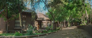 A pathway lined with traditional buildings, surrounded by lush greenery and trees. - Wasawange Lodge and Tours (Livingstone)