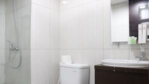Une salle de bain équipée d’une douche, de toilettes, d’un lavabo et d’un miroir.