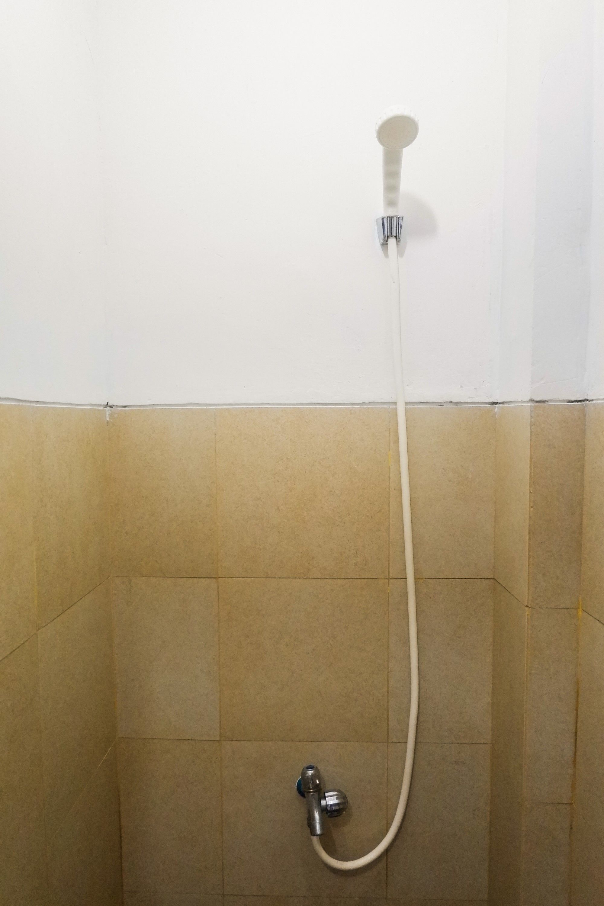 Habitación | Baño | Ducha, artículos de higiene personal gratuitos y toallas