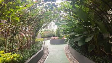 Jardin