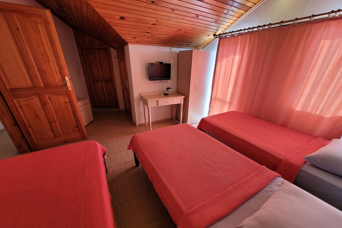 A room with two beds, a desk, a television, and a wooden door.