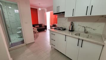 Classic Apartment