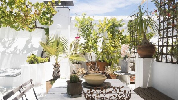 Un patio exterior con macetas, un banco de madera y un cuenco decorativo.