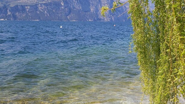 Ein klarer See mit steiniger Uferlinie und einem über dem Wasser hängenden Ast.