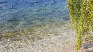 Planche Ă voile, voile