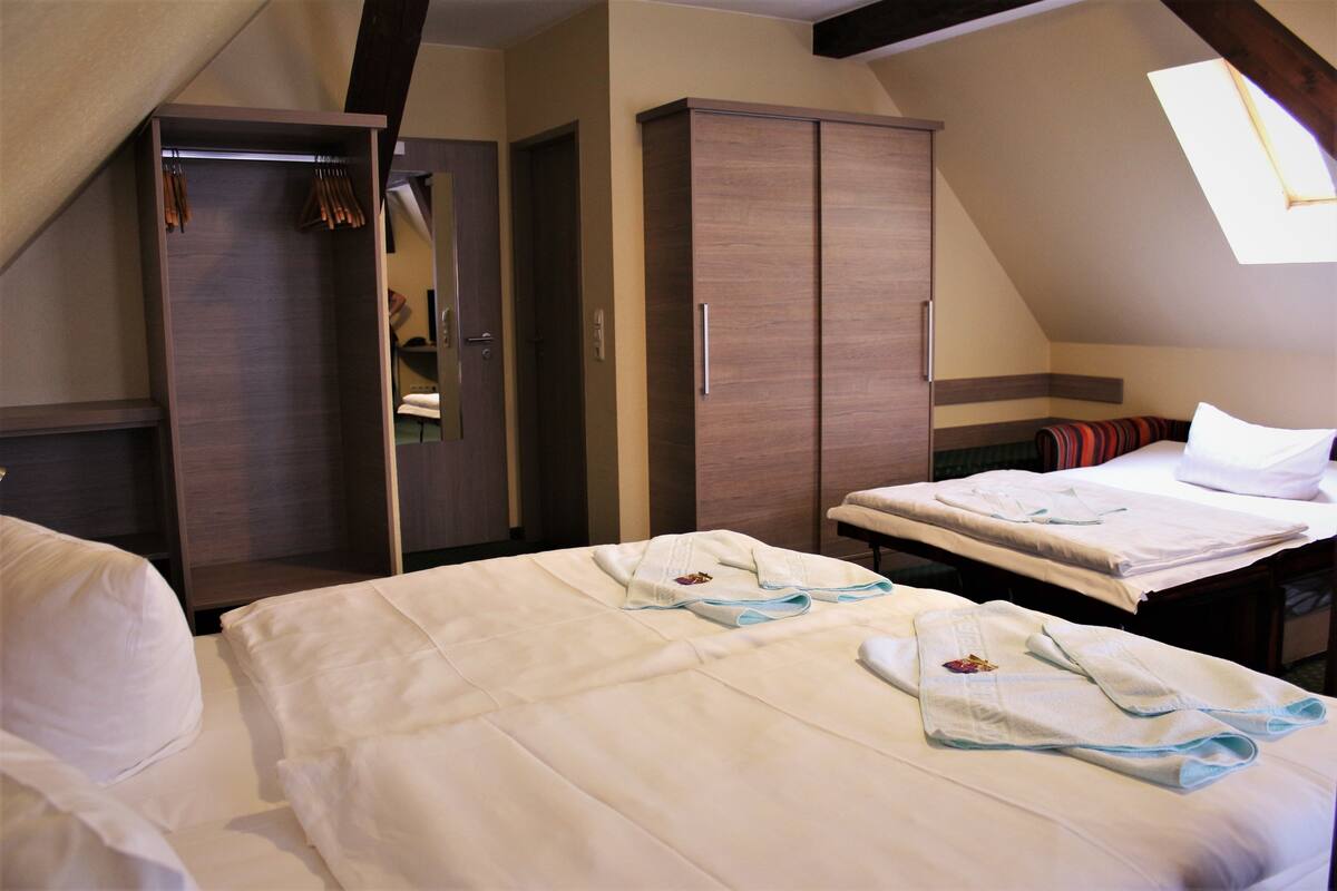 Habitación doble Grand | Minibar, escritorio y wifi gratis