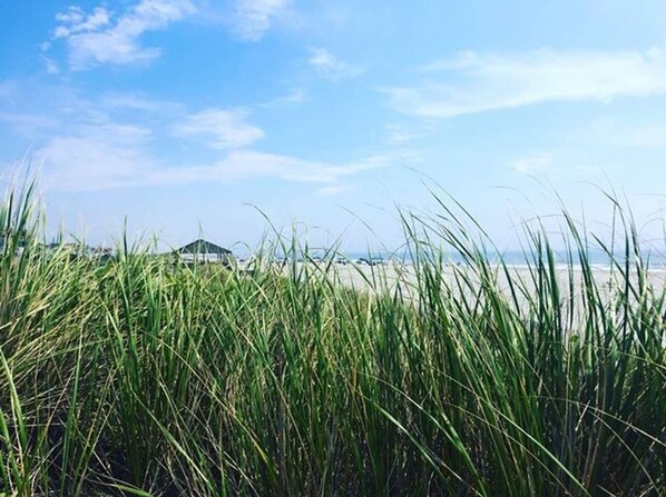 Unclassified image, 1 of 20, button