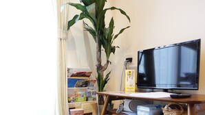Una sala de estar con alfombra verde, un reposapiés blanco, un televisor, una estantería y una planta en maceta.