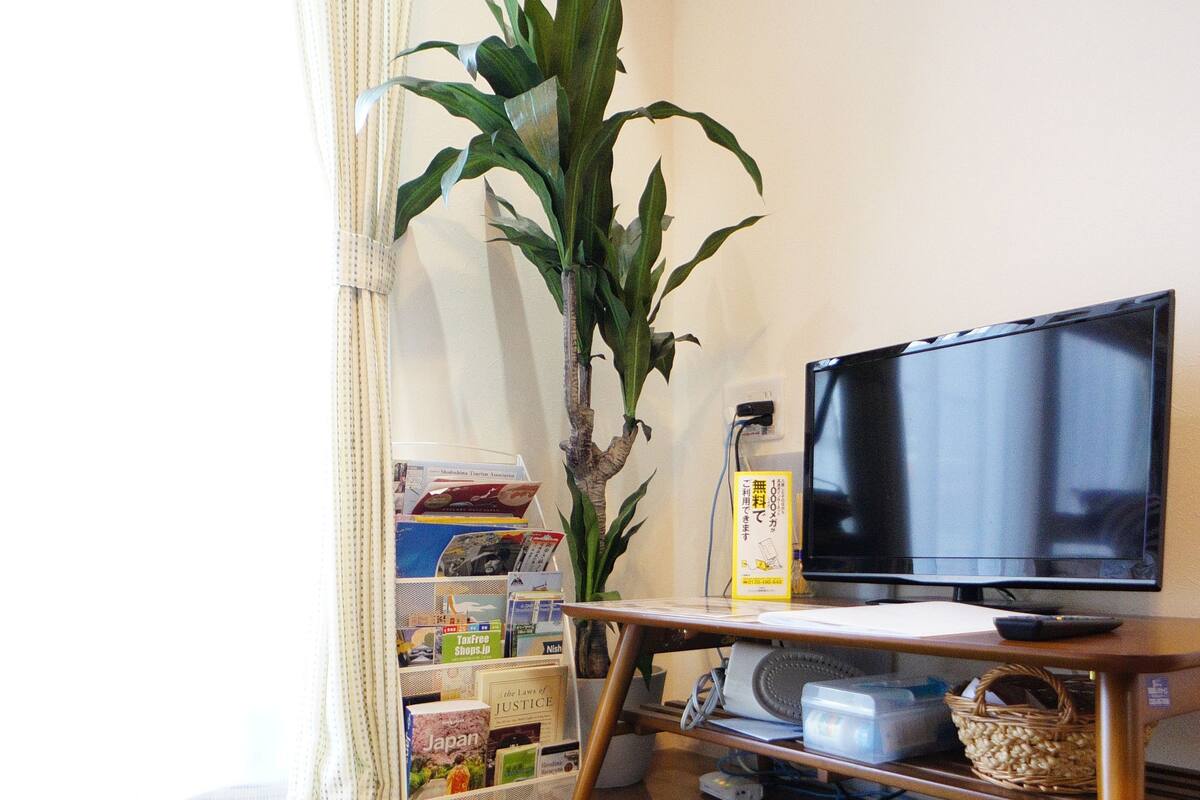 A living room with a green rug, a white ottoman, a television, a bookshelf, and a potted plant.