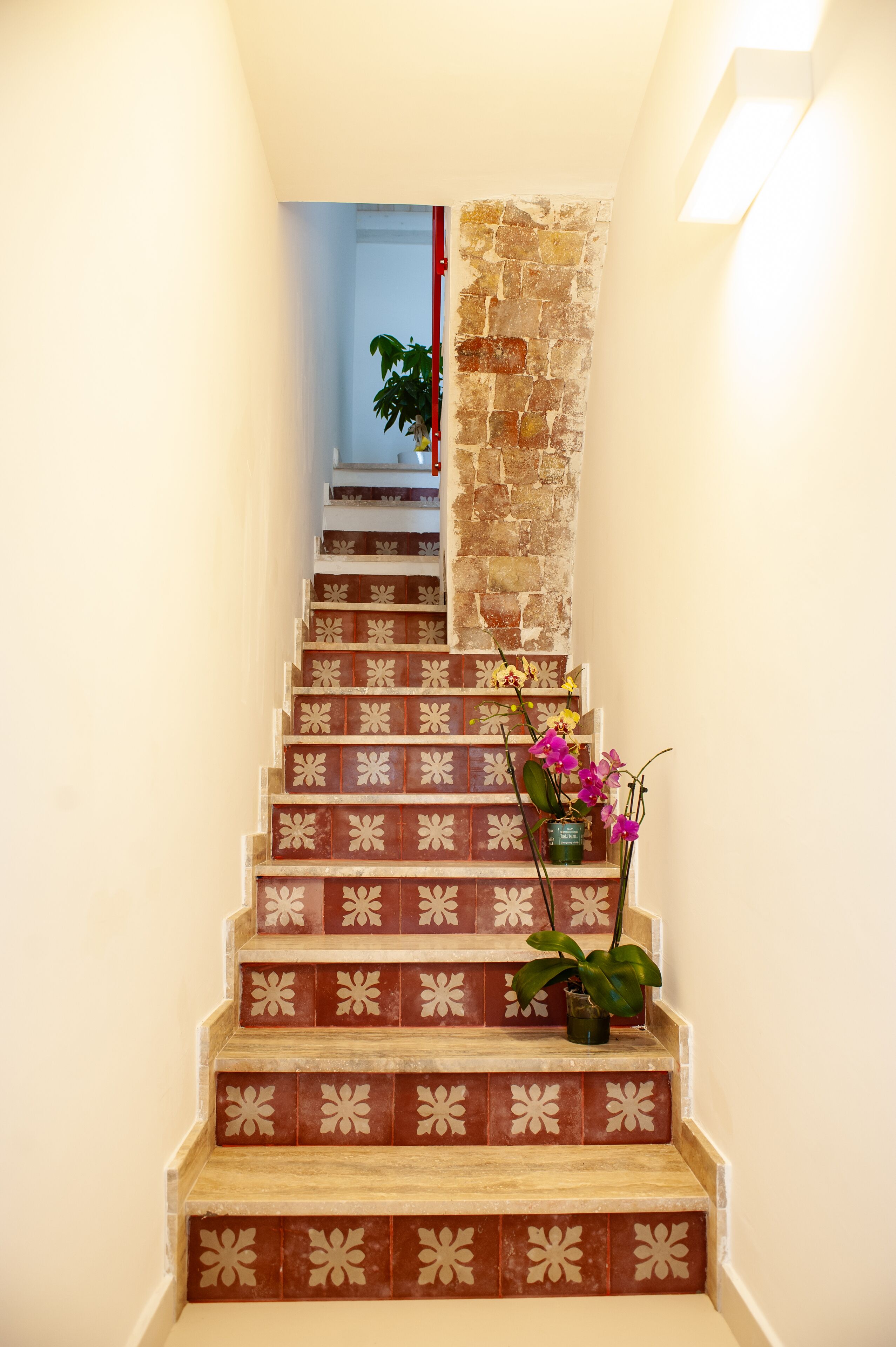 A staircase with patterned tiles leading to a room.