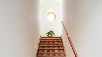 A staircase with patterned tiles leading to a landing with a potted plant.