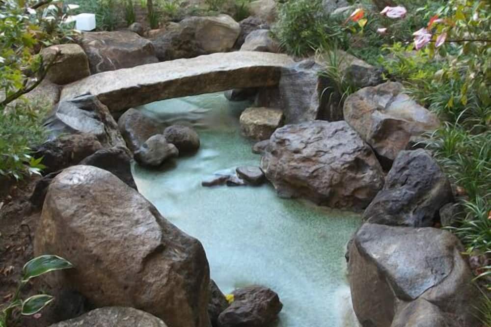 Yokote Onsen Hotel Plaza Geihin