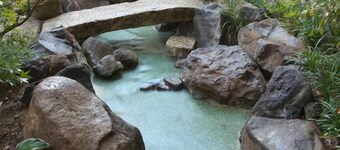 Yokote Onsen Hotel Plaza Geihin