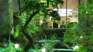 Un exuberante jardín interior con diversas plantas y una pequeña cascada.