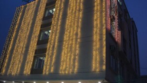 A building facade with vertical rows of lights. - Hotel Eden Roc (Bhubaneshwar)