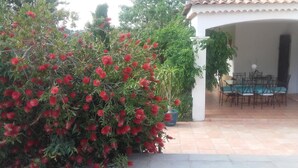Un patio con una mesa y sillas, rodeado por un arbusto rojo y frondoso en flor.
