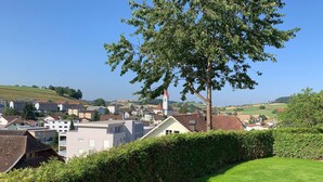 Un barrio residencial con casas, una iglesia y un gran árbol.
