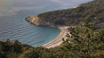 Beach nearby, fishing