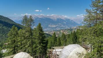A mountain lodge with a view of snow-capped peaks, surrounded by dense forest.