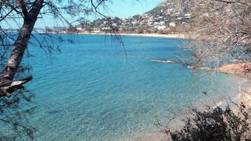 Playa en los alrededores, camastros, sombrillas y vóleibol de playa