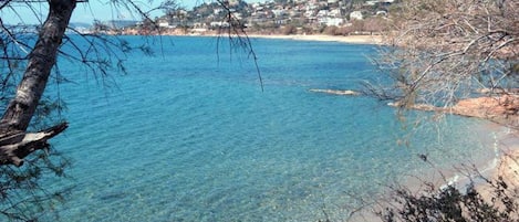 Pantai di sekitar, kursi berjemur, payung pantai, dan voli pantai