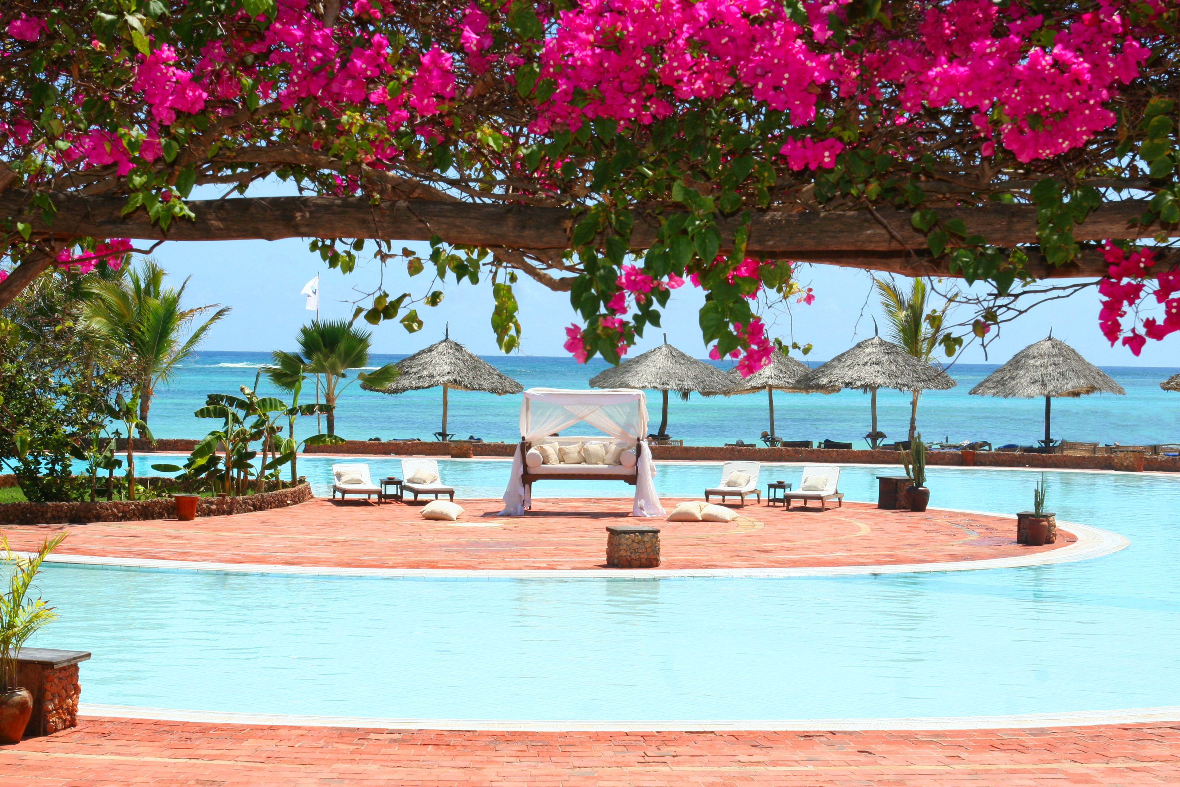 Outdoor pool, sun loungers