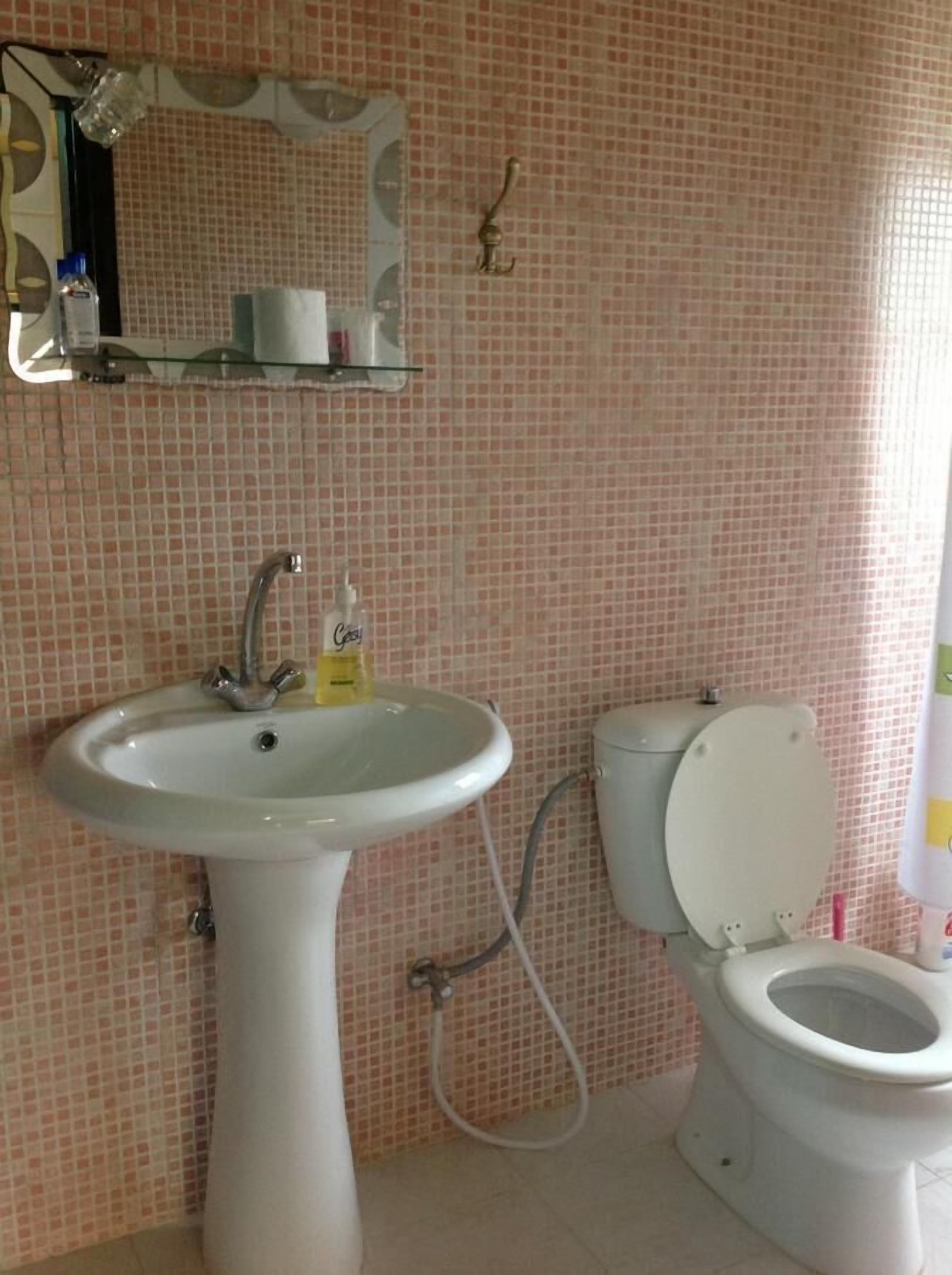 A bathroom with a pedestal sink, a toilet, and a mirror with a shelf above it.