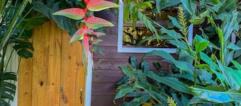 Cabañas La Naciente