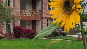 A building with a brick facade, balconies, and a well-maintained lawn.