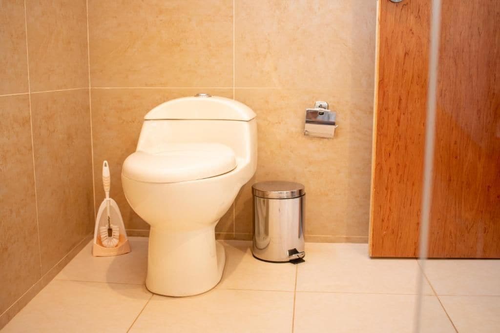 Un baño con inodoro, un cubo de basura y un porta papel higiénico en la pared.