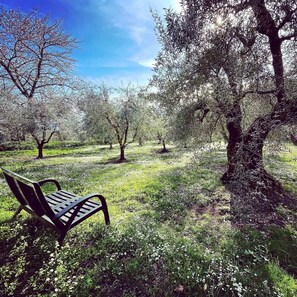 Parco della struttura