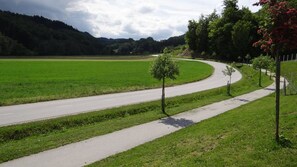 A curving road with a sidewalk and a tree-lined path. - Apartments Olimian (Podcetrtek)