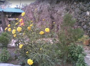 Property grounds - Khosrov Hotel (Dashtakar)
