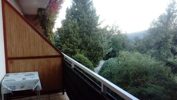 A balcony with a wooden railing overlooking a forested area. - Barac Apartments (Novi Vinodolski)