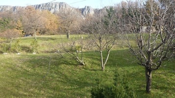Jardin