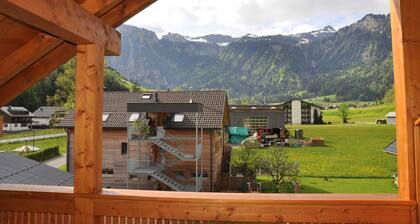 Appartement Haus SutterlĂŒty - Appartement Kanisfluh