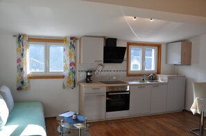 Fridge, oven, dishwasher, coffee/tea maker - Apartment Kanisfluh - Apartment Haus Sutterlüty (Mellau)