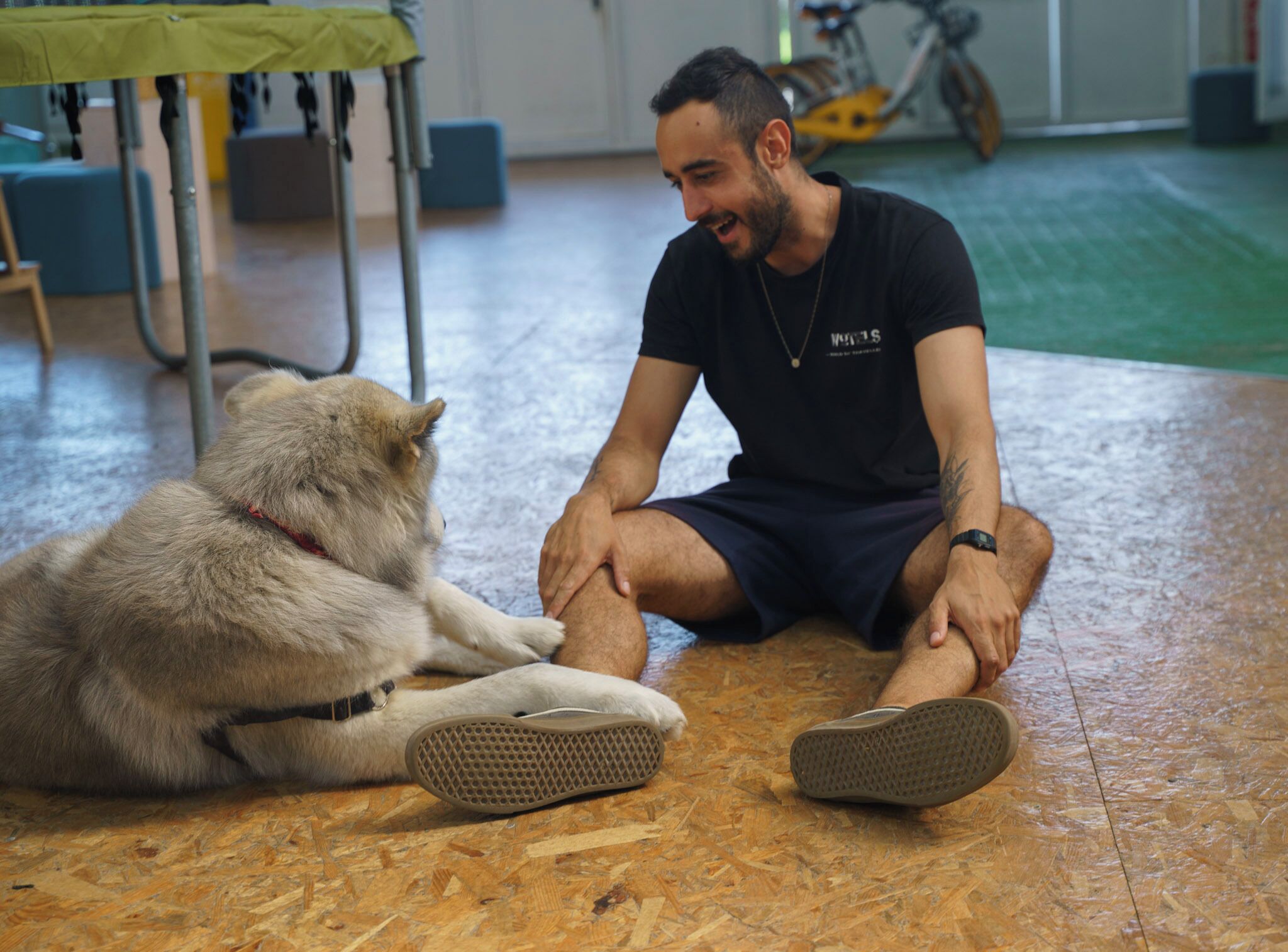 Photo - WOT Peniche Social