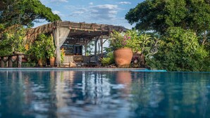 Una piscina con zona de estar cubierta y plantas en macetas.