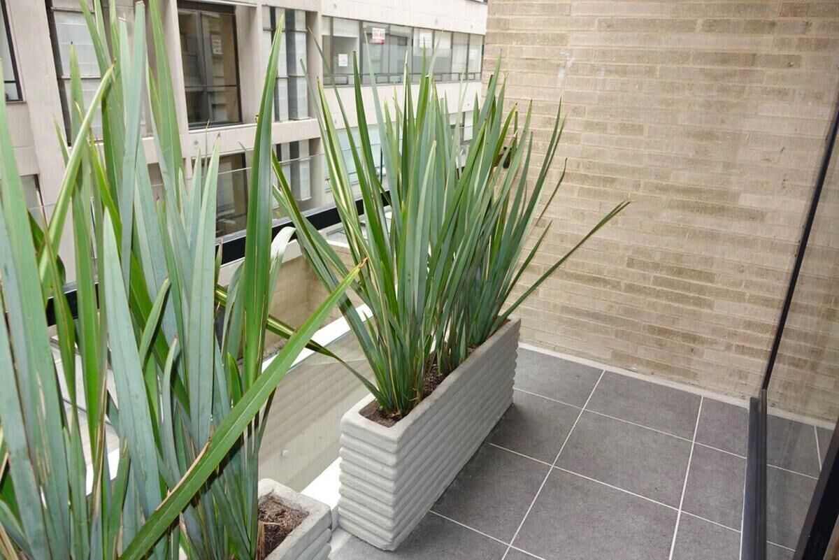 Un balcón con plantas en macetas y vistas a un edificio con ventanas amplias.