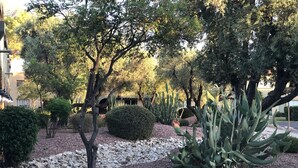 Property grounds - Old Town Scottsdale Pool Oasis - Walk to Everything! (Scottsdale)